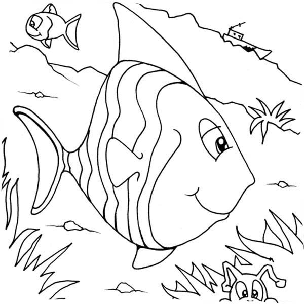 ocean bottom coloring pages - photo #33