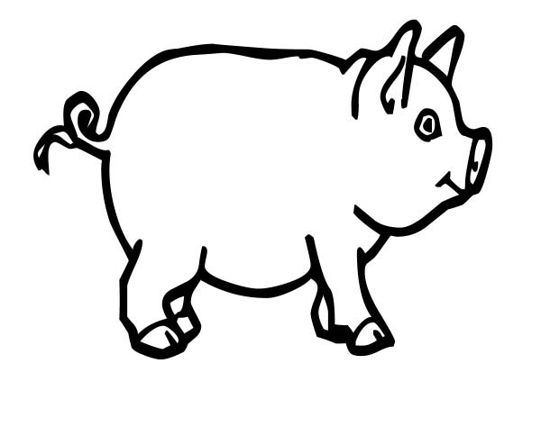 year of the pig coloring pages - photo #39