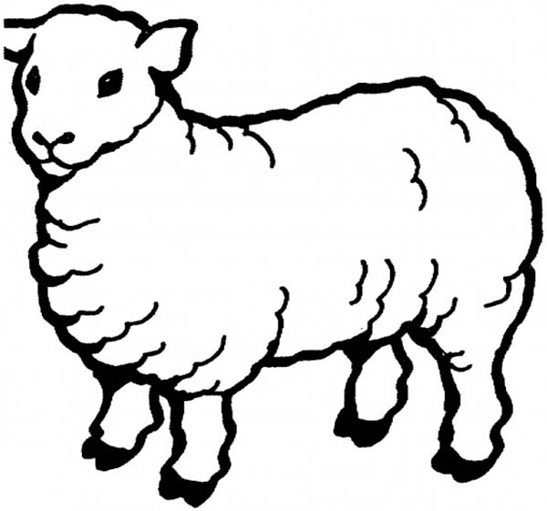 year of the sheep coloring pages - photo #41