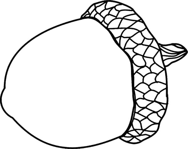 oak leaf with acorns coloring pages - photo #19