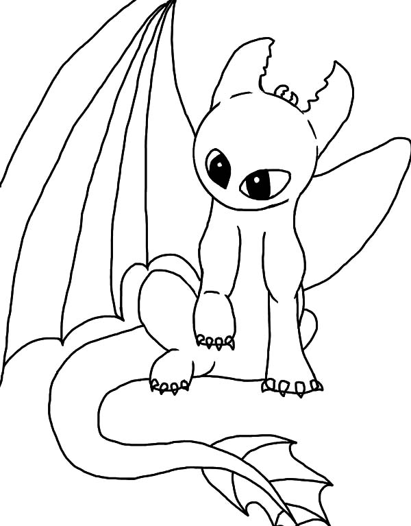 baby dragon hatching coloring pages - photo #10