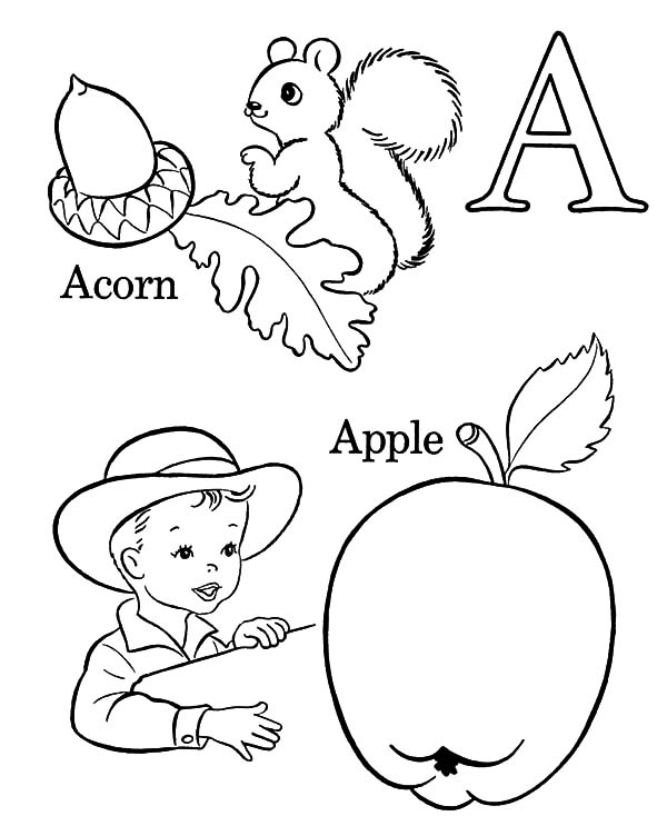 oak leaf with acorns coloring pages - photo #15
