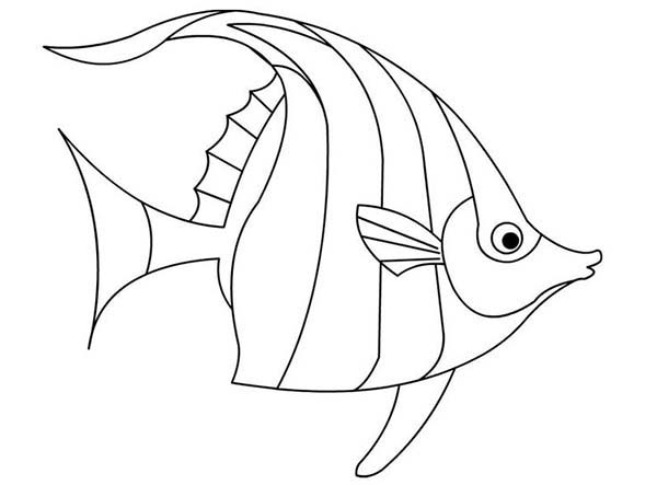 Beautiful Angel Fish Coloring Page Coloring Sky