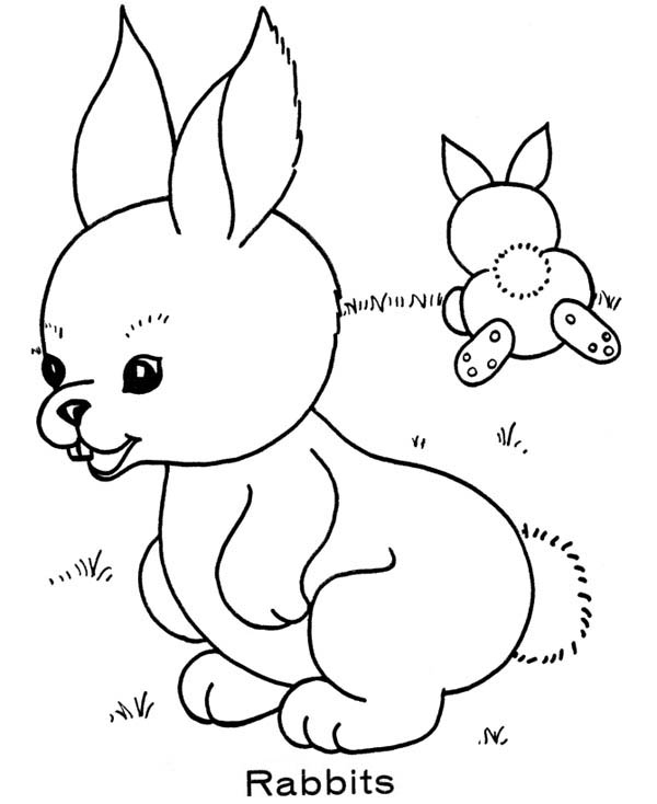 Kindergarten, : Easter Rabbit at Kindergarten Coloring Page