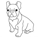 French, French Bulldog Coloring Page: French Bulldog Coloring Page