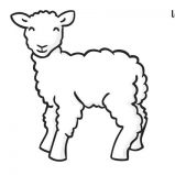Lamb, Spring Lamb Coloring Page: Spring Lamb Coloring Page