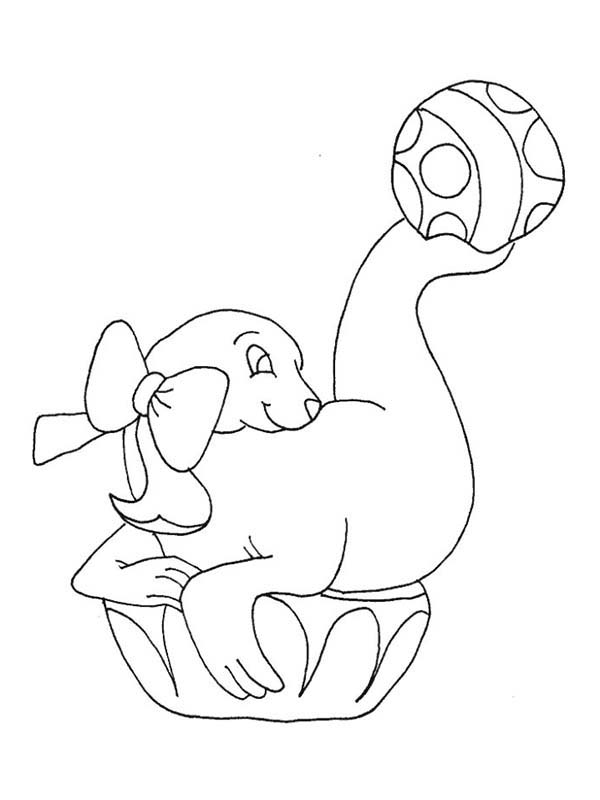 Adorable Baby Seal Coloring Page Coloring Sky