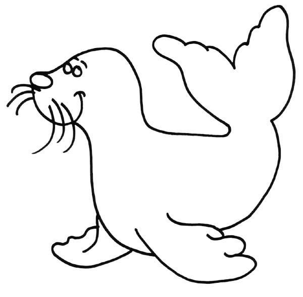 Seal, : Big Smile Seal Coloring Page