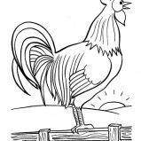 Rooster, Rooster Crowing When The Sun Is Rise Coloring Page: Rooster Crowing When the Sun is Rise Coloring Page