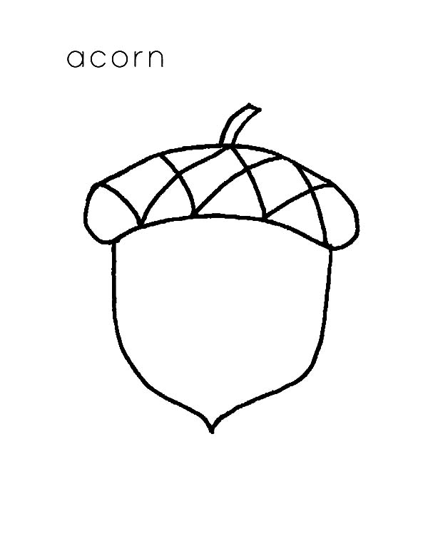 Acorn, : A is for Acorn Coloring Pages