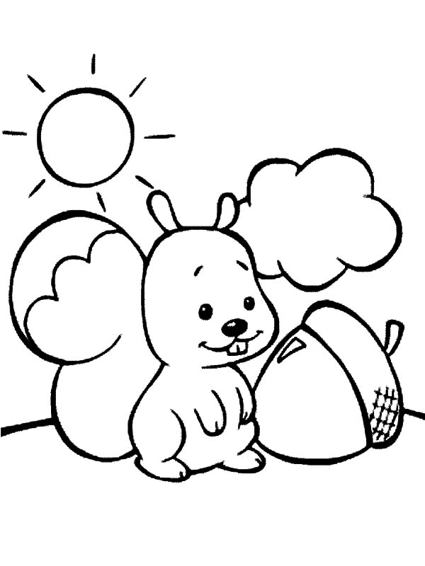 Acorn, : Cute Squirrel Found Acorn Coloring Pages