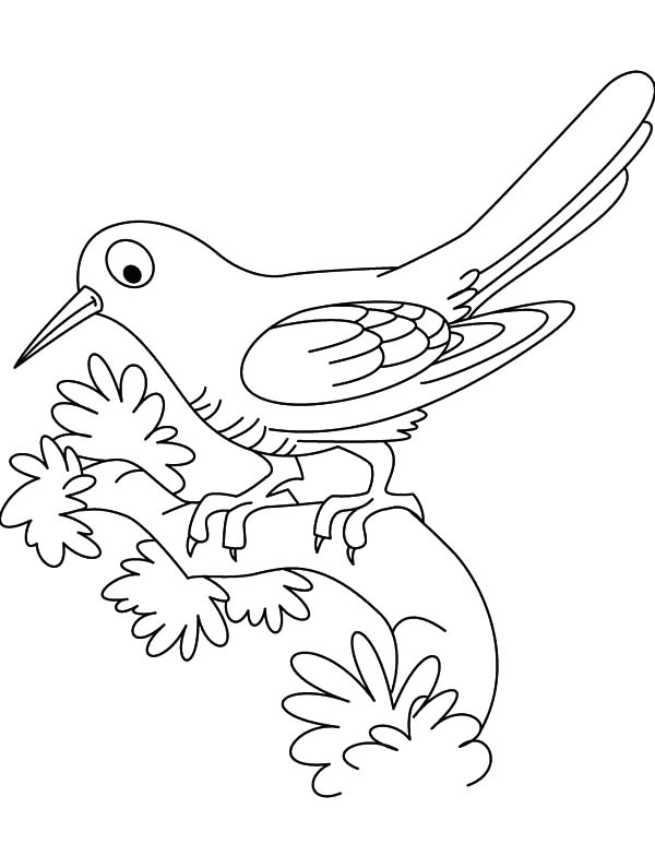 Cuckoo Bird, : Google Eyed Cuckoo Bird Coloring Pages